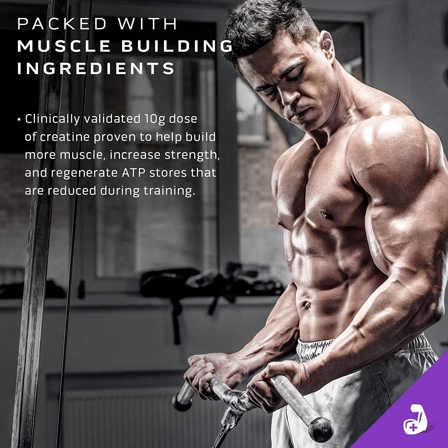 MuscleTech Mass Tech Extreme 2000